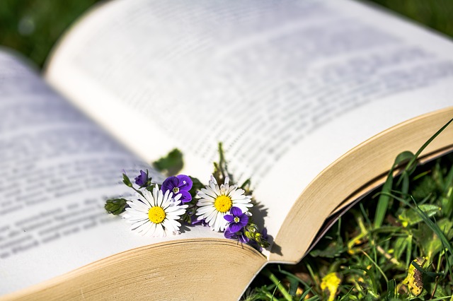 page-philosophie page-philosophie