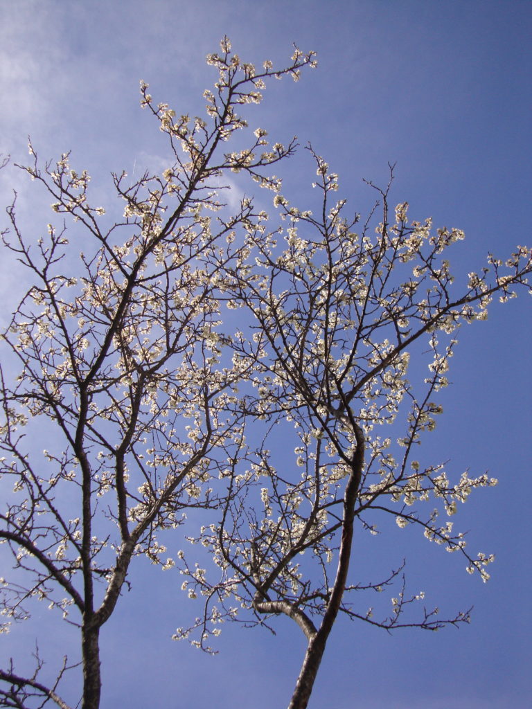 DSC05848 DSC05848